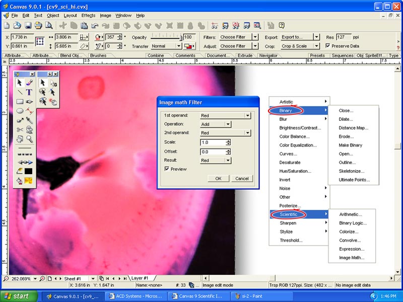 DICOM support with illustration, image editing, web & presentation features